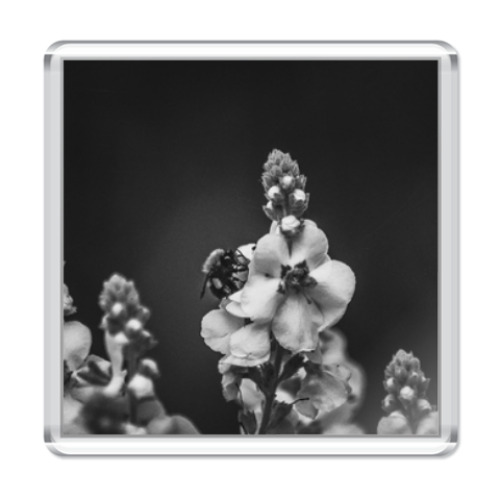 Магнит с принтом Шмель