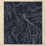 Звездные кораллы