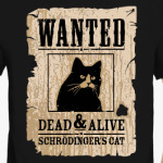 Розыск - кот Шредингера