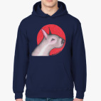 Свободу бультерьерам улиц!