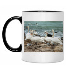 Кружка двухцветная