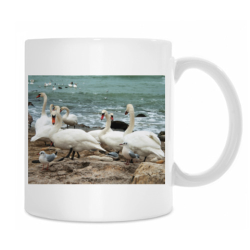 Кружка Лебеди на берегу моря