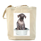 Самые милые щенки