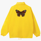 Ветровка с капюшоном