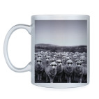 Овечки в очках