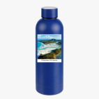 Термобутылка