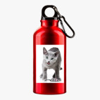 Металлическая бутылка 400 мл UV-DTF