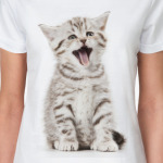 Котики, котята, кошки