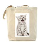 Холщовая сумка