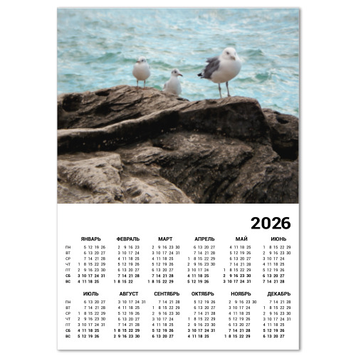 Календарь Чайки