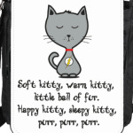 Песня Шелдона про котенка