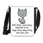 Песня Шелдона про котенка