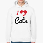 Толстовка худи