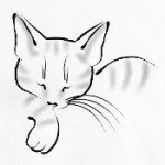 Спящий кот