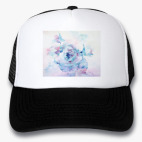 Кепки Trucker