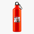 Металлическая бутылка 700 мл UV-DTF