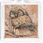 Спящая сова