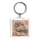 Спящая сова