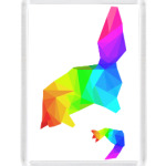 Rainbow Fox
