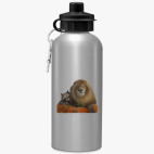 Спортивная бутылка