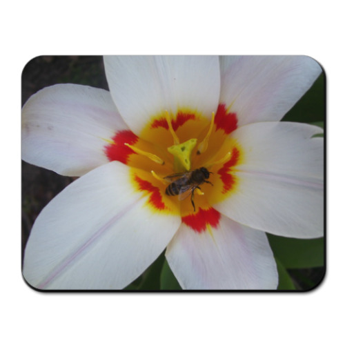 Коврик для мыши с принтом Белый цветок