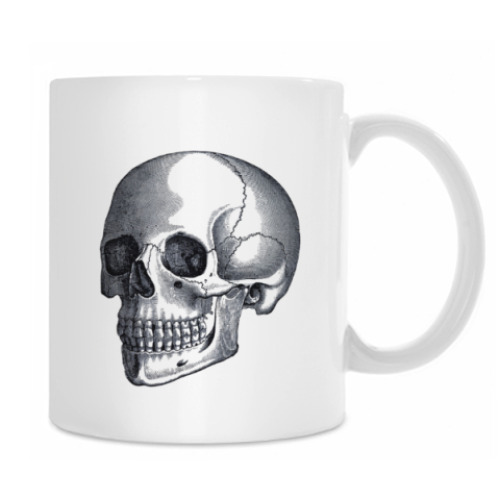 Кружка с принтом Keep calm and learn anatomy