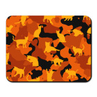 Коты на камуфляже