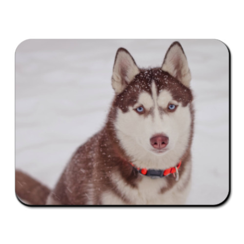 Коврик для мыши с принтом Хаски