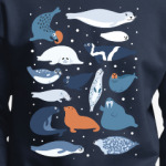 Ластоногие