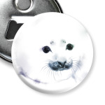 Малыш тюлень