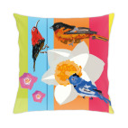 птицы марта