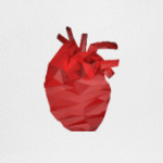 Сердце 3D