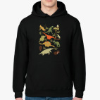 Толстовка худи