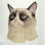 Grumpy Cat / Сердитый Кот