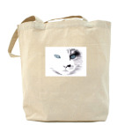 Холщовая сумка