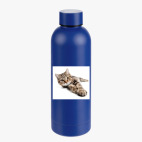 Термобутылка