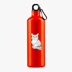 Металлическая бутылка 700 мл UV-DTF