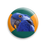  Попугай Параноик