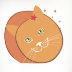 Звездный котик