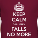 GALLIFREY FALLS NO MORE