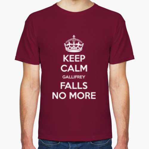 Футболка с принтом GALLIFREY FALLS NO MORE