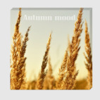 Осеннее настроение