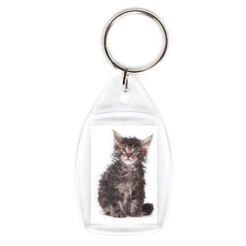 Брелок с принтом Котики-котята