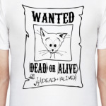 Кот Шредингера