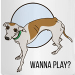 Игривая левретка