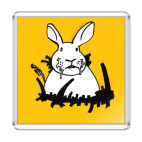 Кролик белый