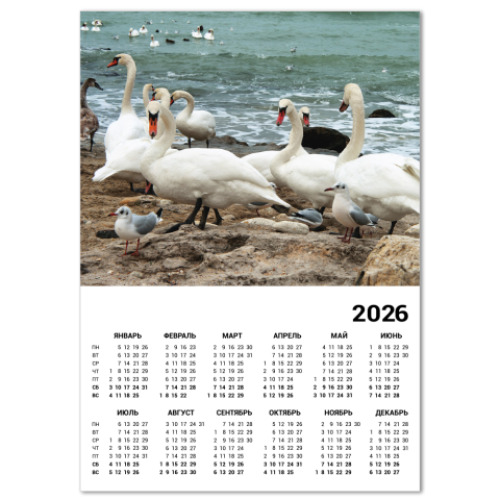 Календарь с принтом Лебеди