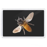 Пчела / Bee
