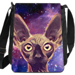 Кот в гиперпространстве