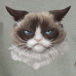 Grumpy Cat / Сердитый Кот